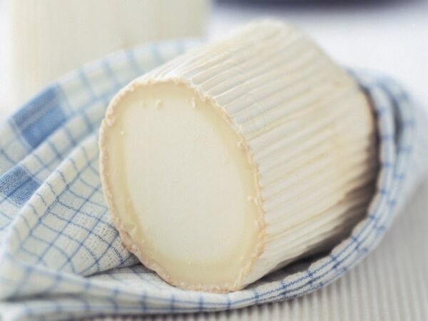 Cheese Buche Chevre Goat