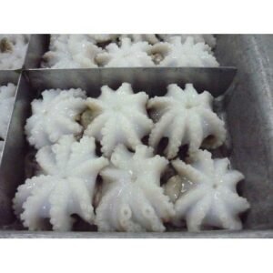 Frozen Octopus