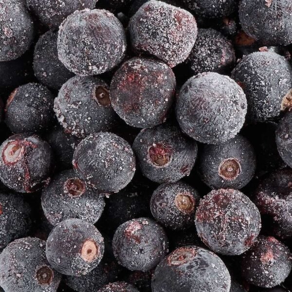 Frozen Blackcurrant IQF