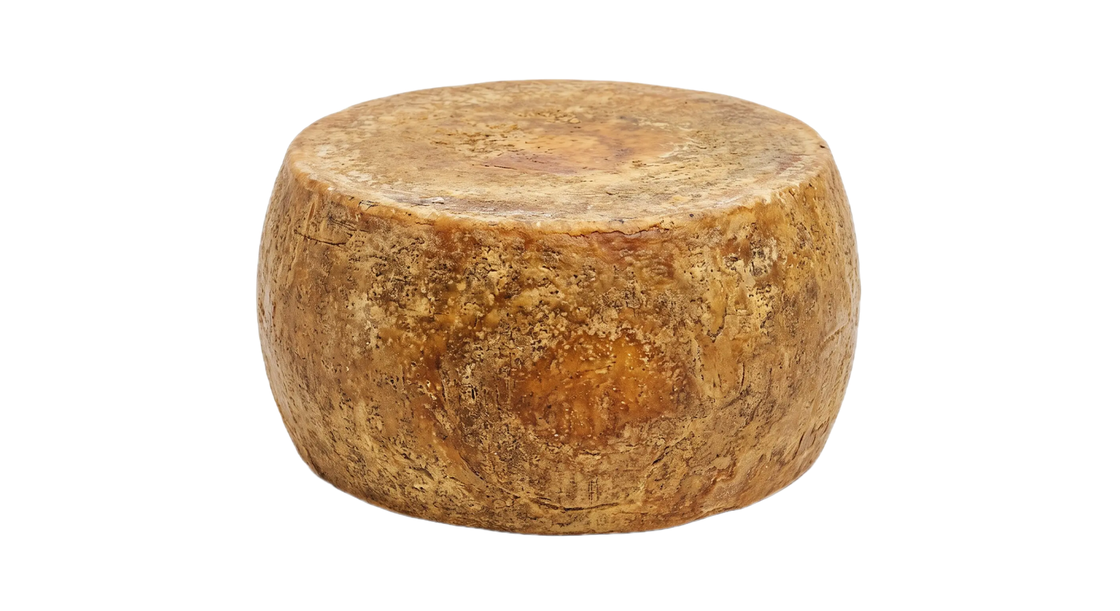 Parmesan wheel imported from Italy by Gourmet Foods