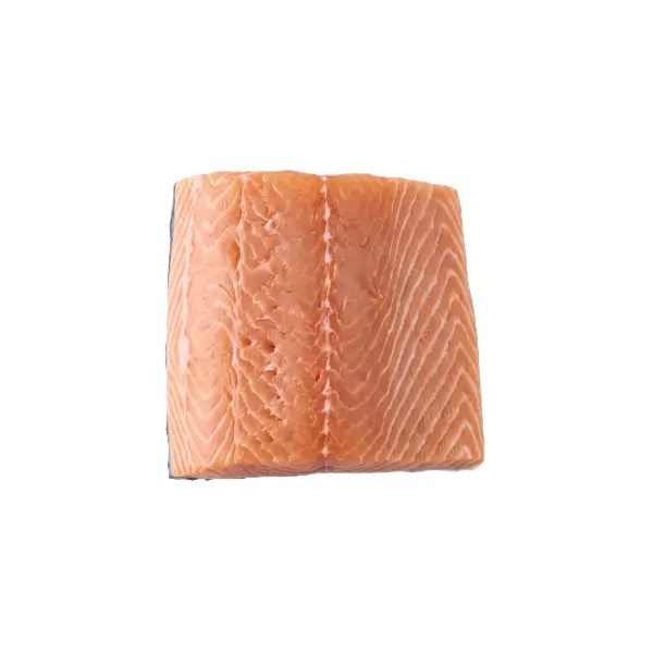 Salmon fillet imported from Norway by Gourmet Foods